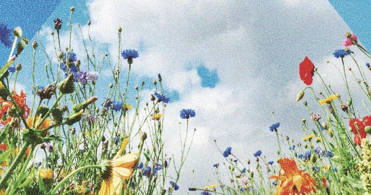 A journey into consciousness